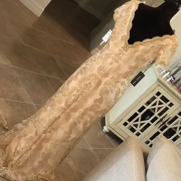 Tadashi Shoji gown, gold lace over blush shell, back zip, v back, size 14, NWT - Picture 6 of 12